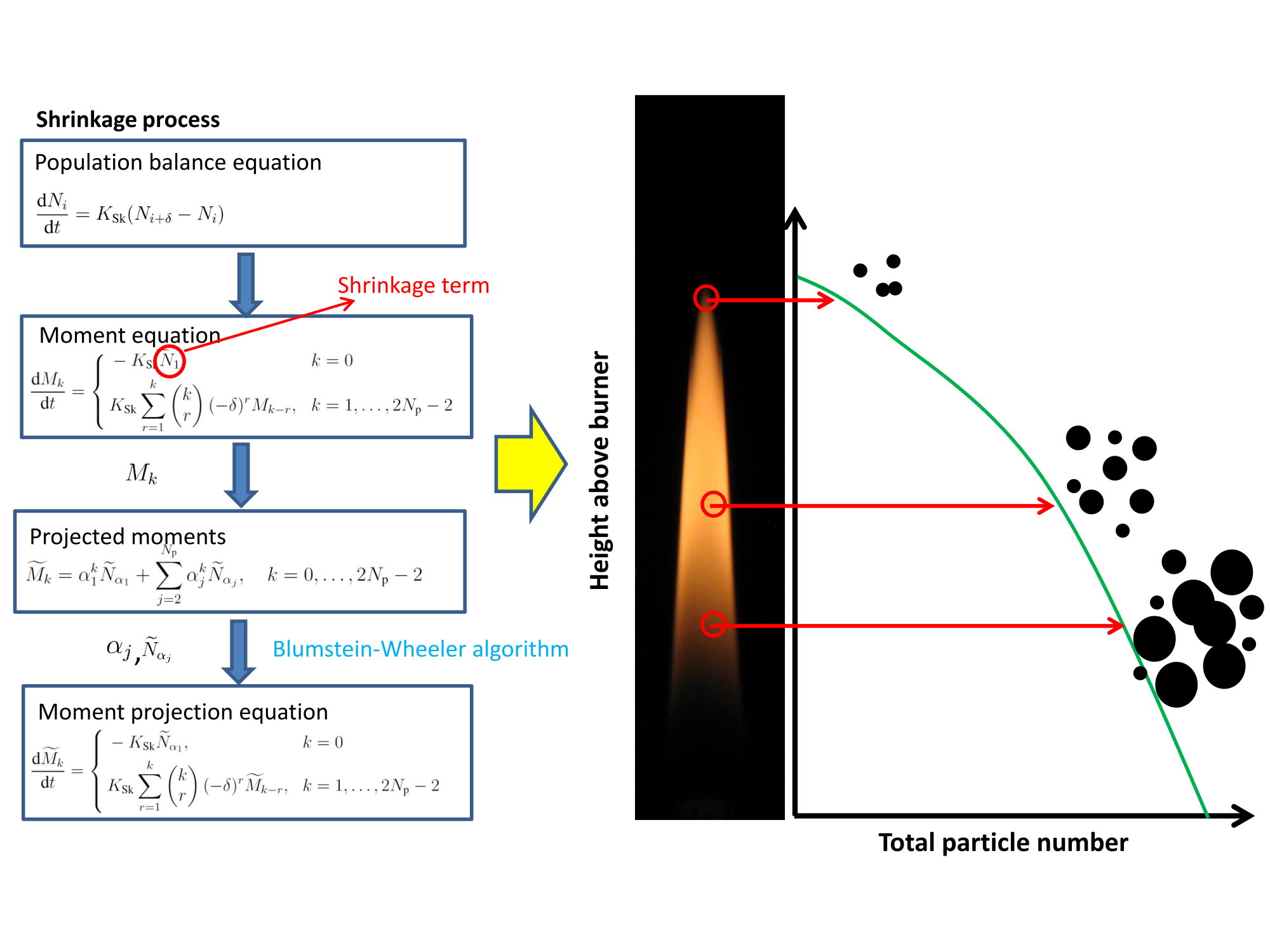 Graphical abstract