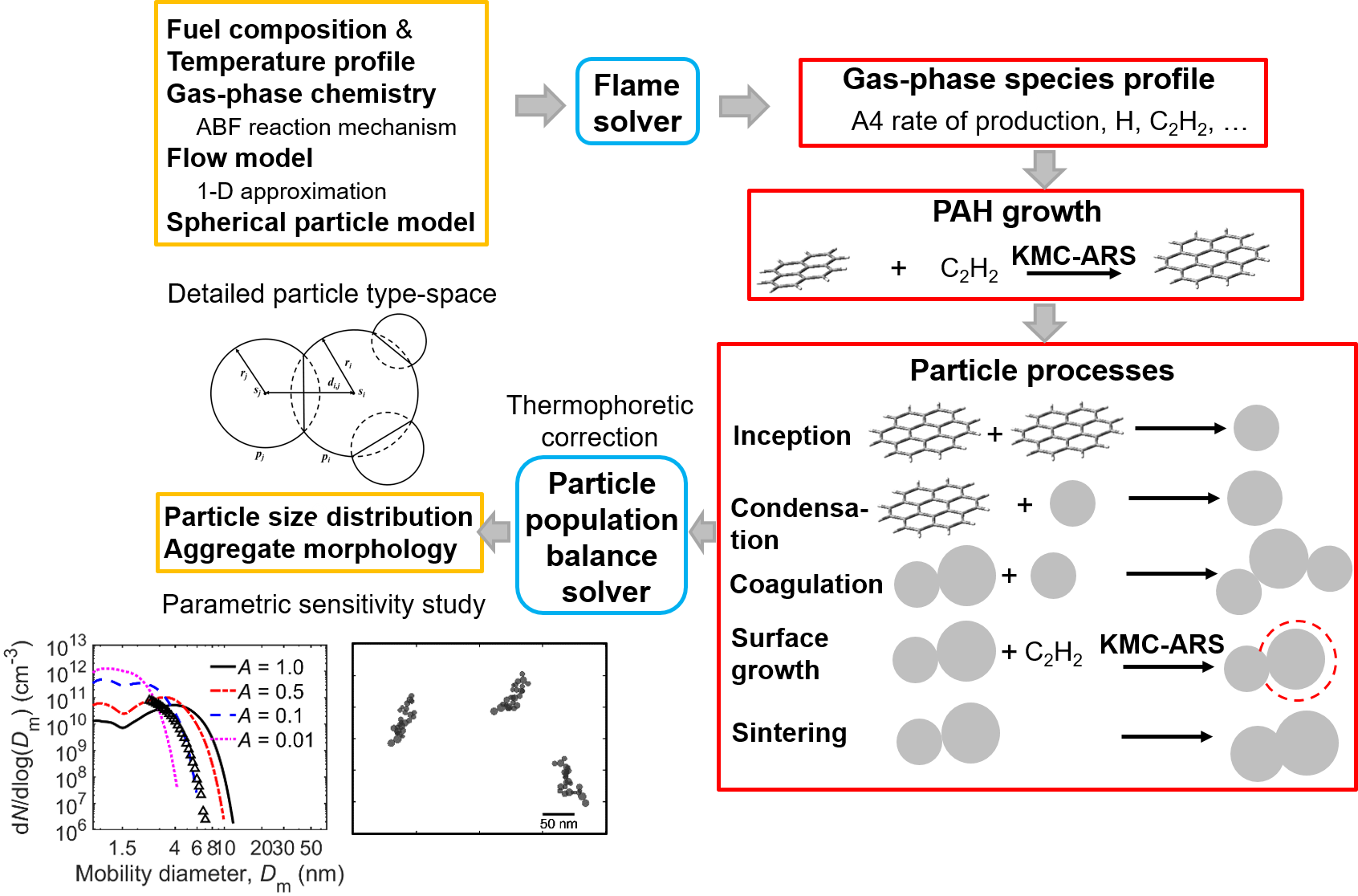 Graphical abstract