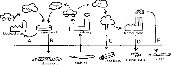 Graphical abstract