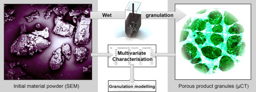 Graphical abstract