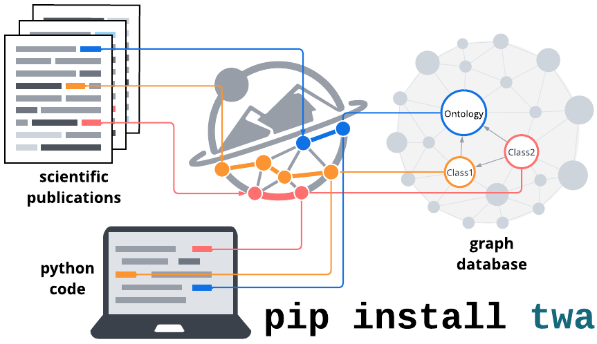 Graphical abstract