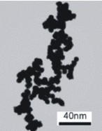 TEM-style renderings of largest particle from a laminar premixed flame.