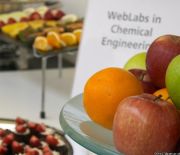 Weblabs in Chemical Engineering Workshop Picture
